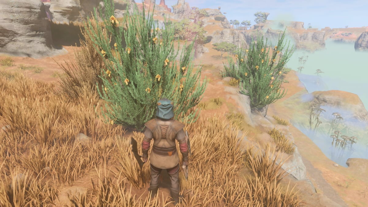 A player stands in front of a green bush with flowers in Enshrouded.