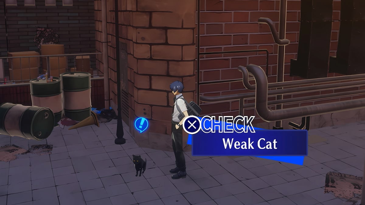 How to feed the cat in Persona 3 Reload Request 42 Dot Esports