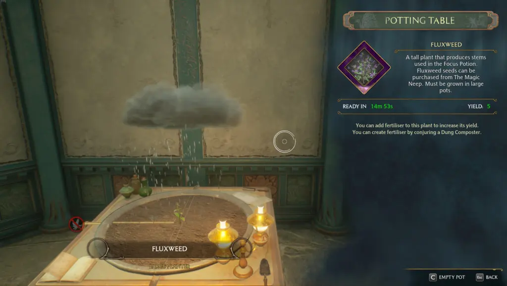 How to grow and harvest Fluxweed in Hogwarts Legacy