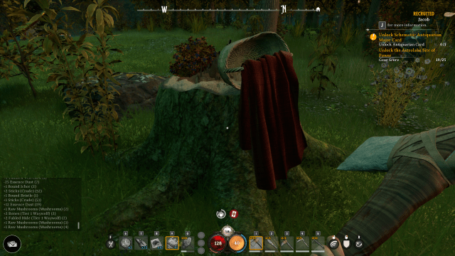 A basket and red cloak sit on a log in Nightingale