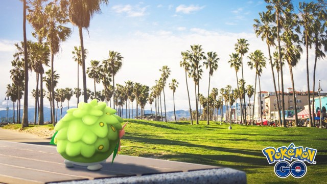 Shaymin hanging out in California.