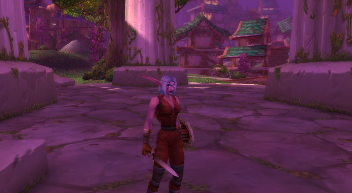 Image of a Night Elf Warrior in WoW SoD.