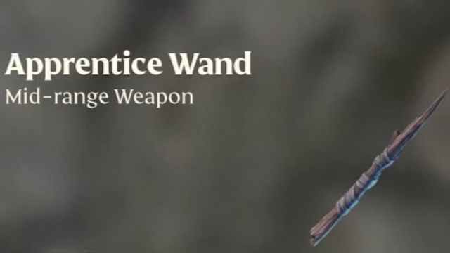Apprentice Wand.