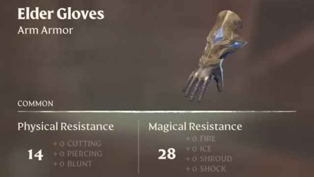 The Elder Armor gloves.