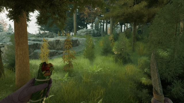 A collection of shrubs and bushes in Nightingale.