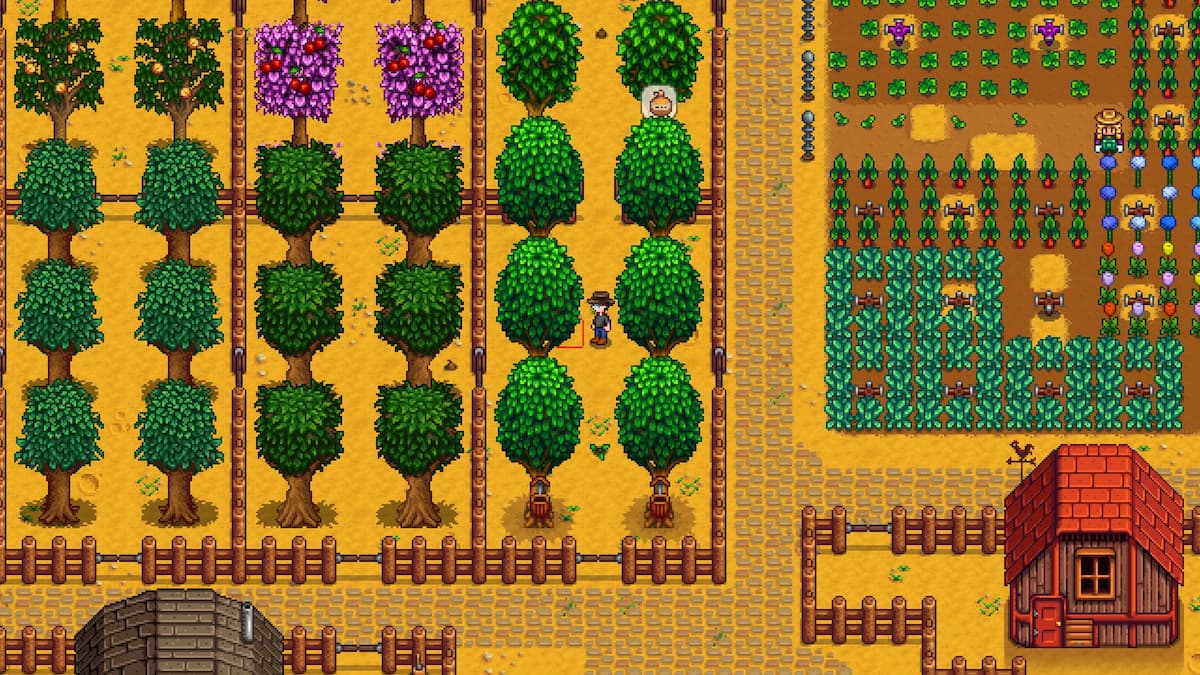 Stardew Valley character is standing on a tree farm