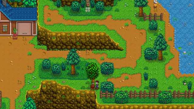 Wild Maple Tree with a Tapper in Stardew Valley