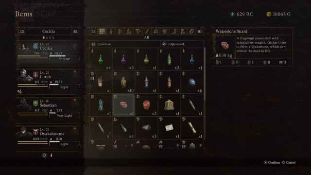 Inventory menu in Dragon's Dogma 2