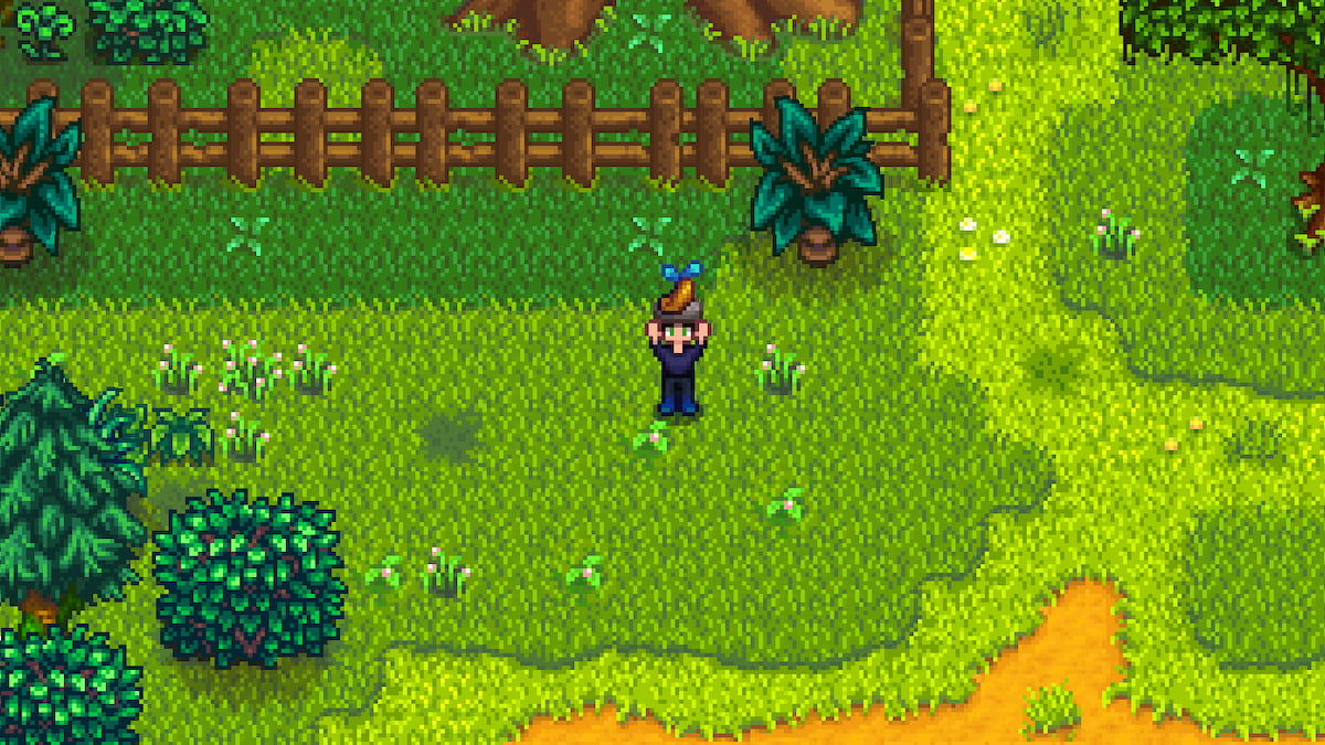 Character holding Mystic Tree Seed in Stardew Valley