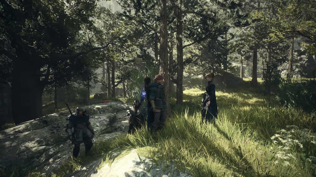 Arisen and his party standing in the woods in Dragon's Dogma 2.