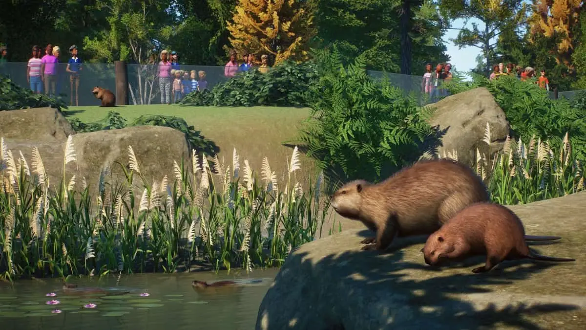 Beavers in Planet Zoo from the North American Animal Pack
