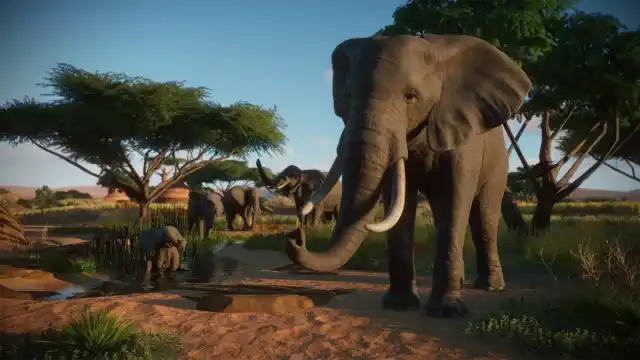 Elephants in an enclosure in Planet Zoo: Console Edition.