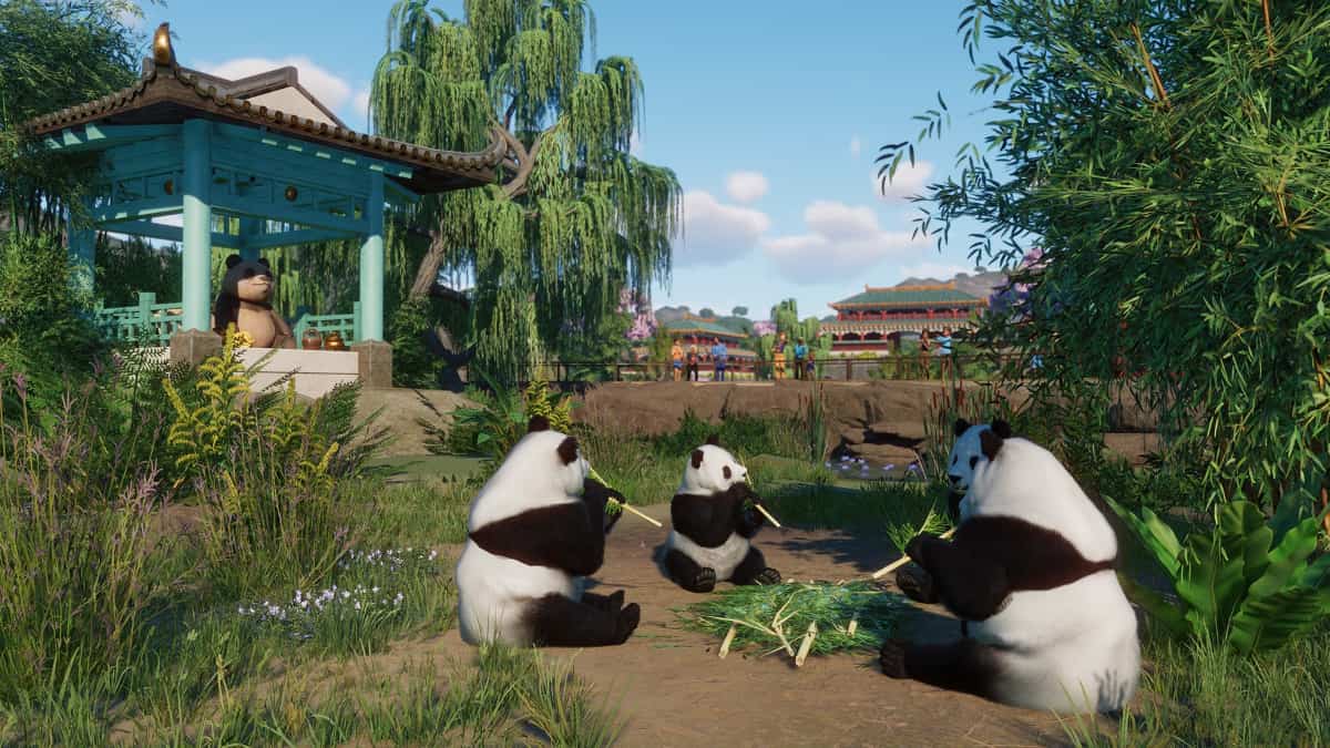 Pandas inside an enclosure in Planet Zoo: Console Edition.