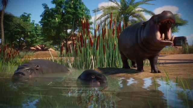 Pygmy Hippos in an enclosure in Planet Zoo: Console Edition.