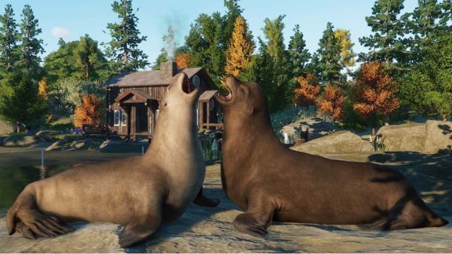 California Sea Lions in Planet Zoo from the North American Animal Pack.