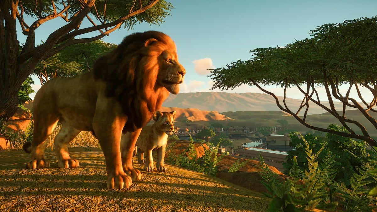 Lions in Planet Zoo