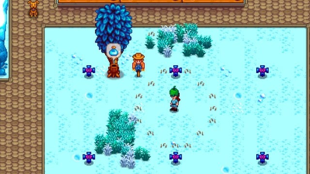 Mystic Tree with Mystic Syrup and character using Treasure Totem in Stardew Valley