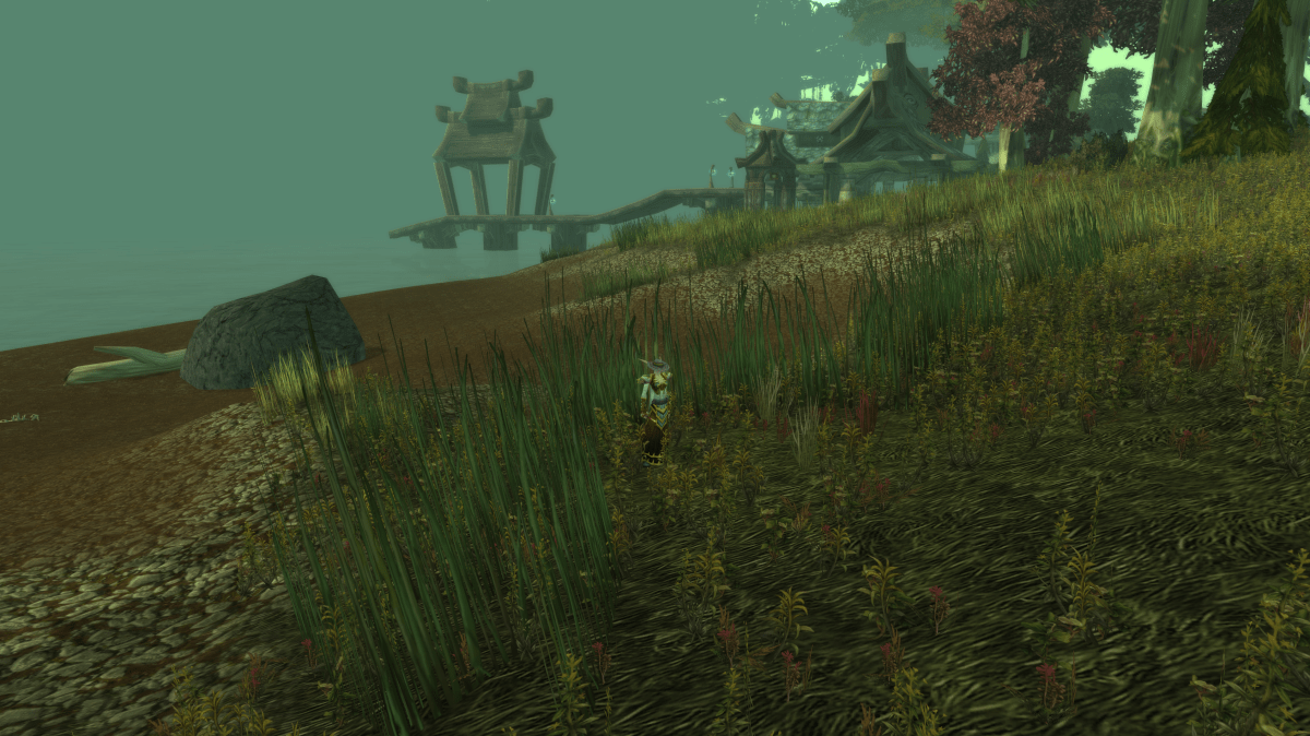 A priest standing in the grass near Feathermoon Stronghold in WoW classic