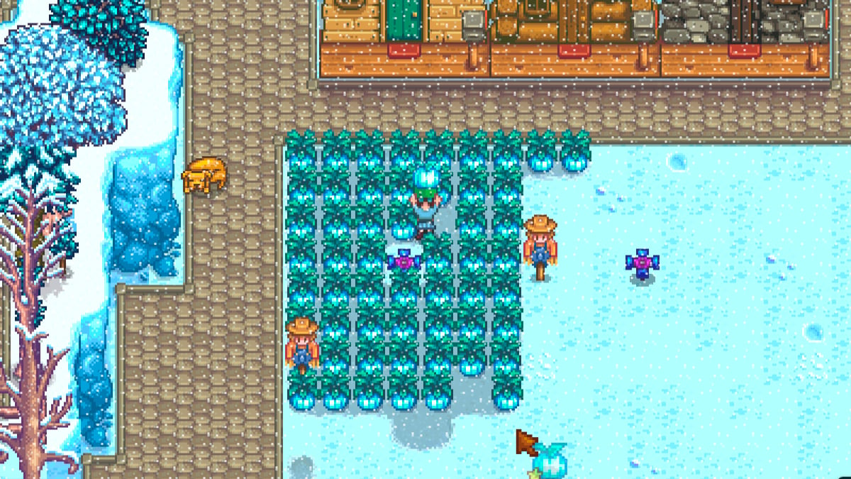 How to get Powdermelon in Stardew Valley