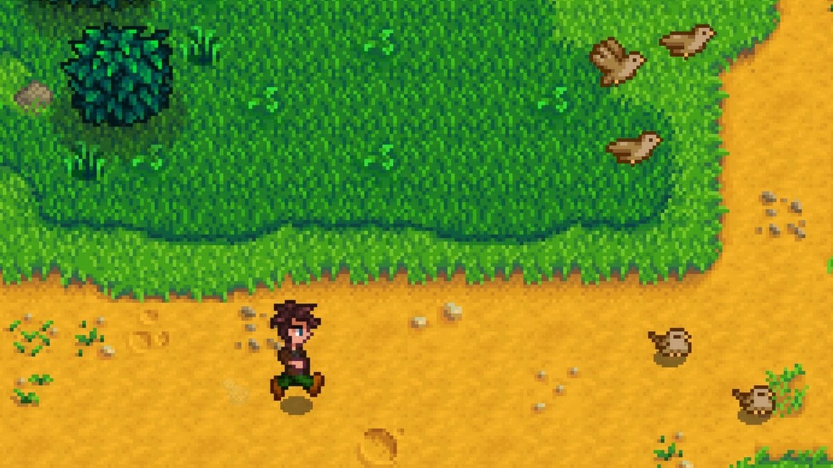 Birds flying in front of Stardew Valley character