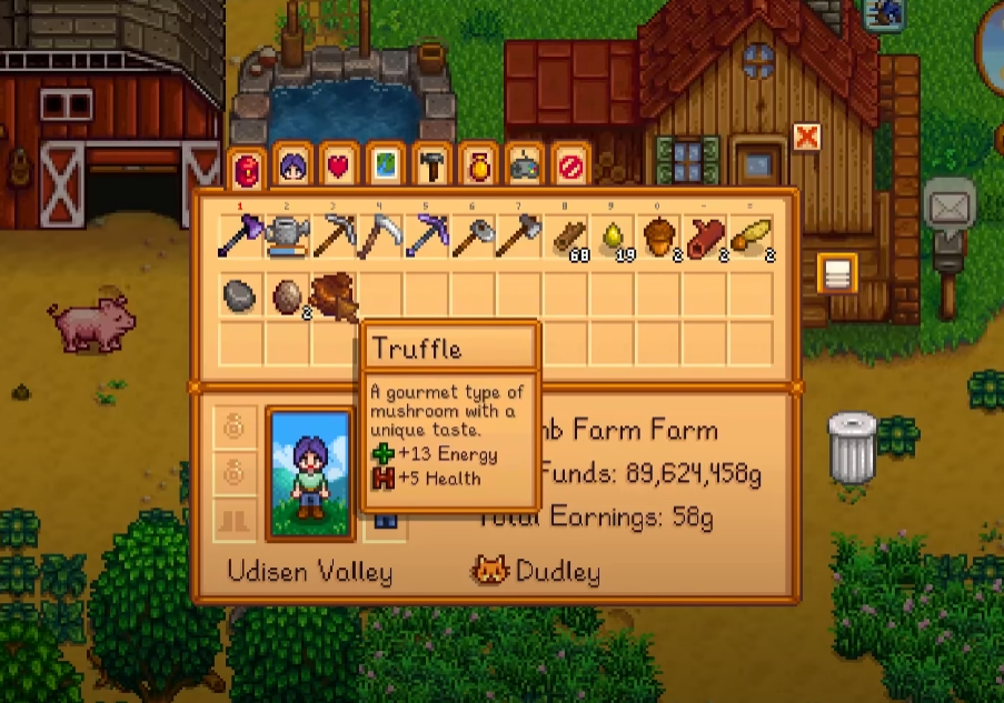 Truffle description in Stardew Valley