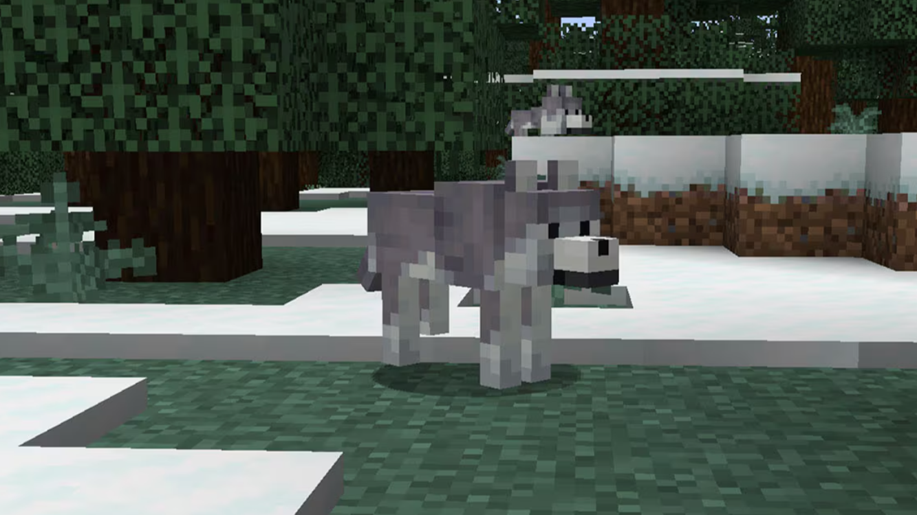 All Minecraft Wolf variants and where to find them