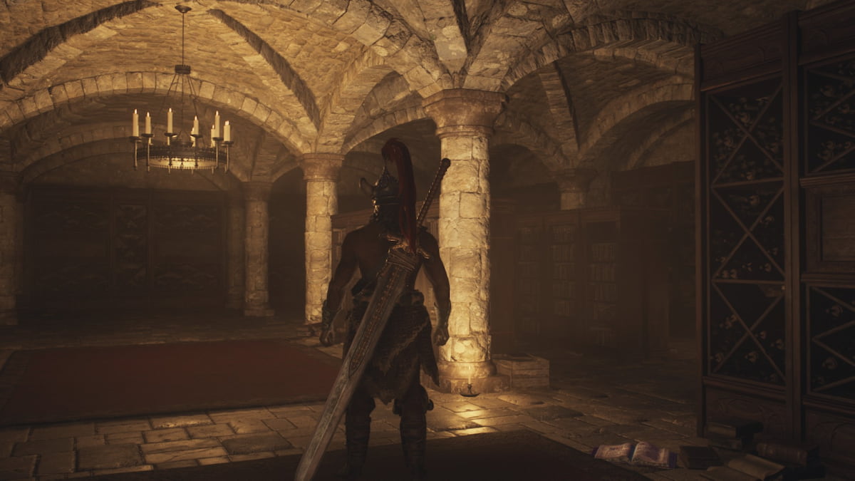 The player character in DD2 inside an area with plenty of tomes.