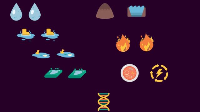A screenshot of the Life elements in Little Alchemy 2