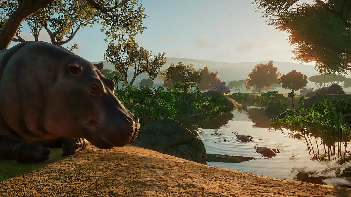 A hippo near a pond in Planet Zoo.