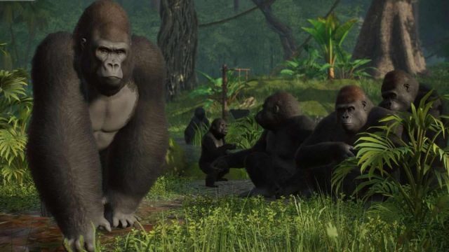 gorillas in planet zoo console edition