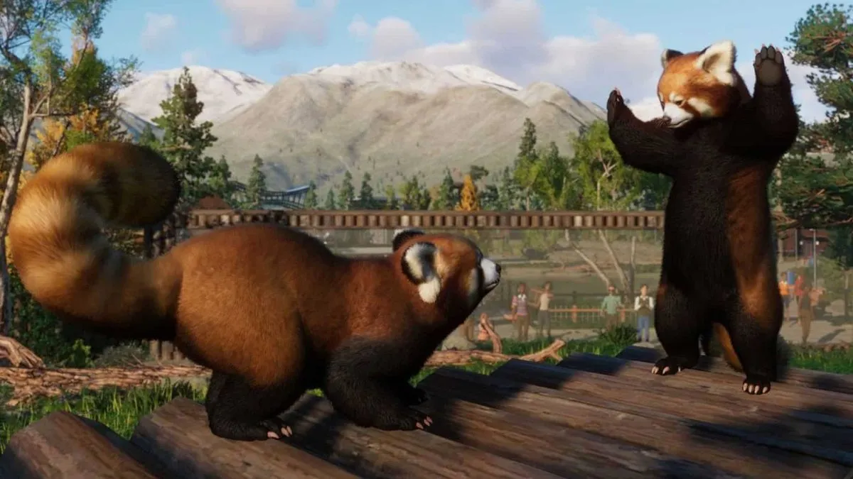 red pandas in planet zoo console edition