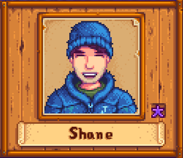 All Stardew Valley NPC Winter outfits