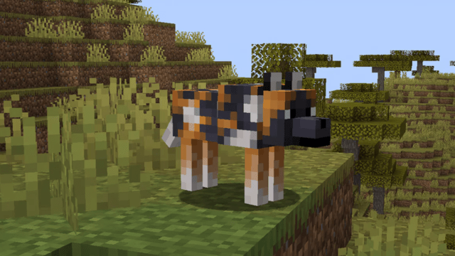 The Spotted Wolf in Minecraft.