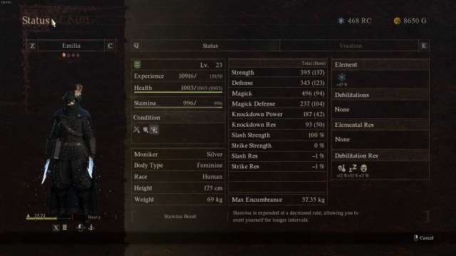 Thief status screen in Dragon's Dogma 2.