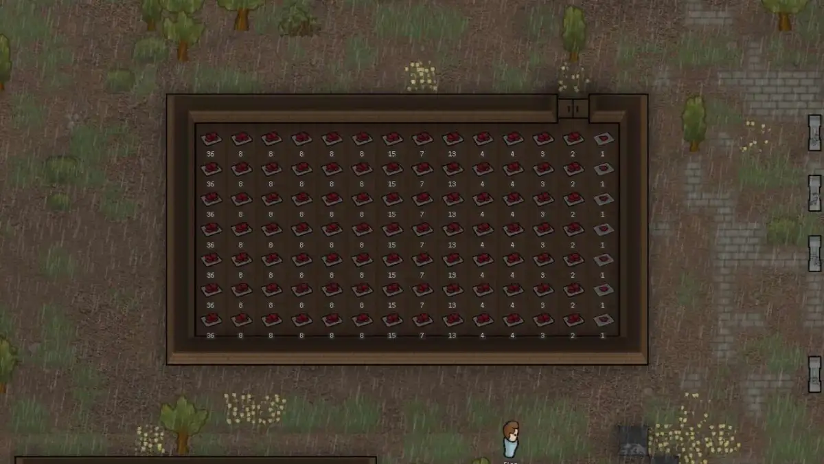 Top-down view of a wooden room filled with Ambrosia in Rimworld.