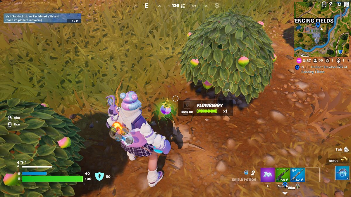 collecting fruits Fortnite