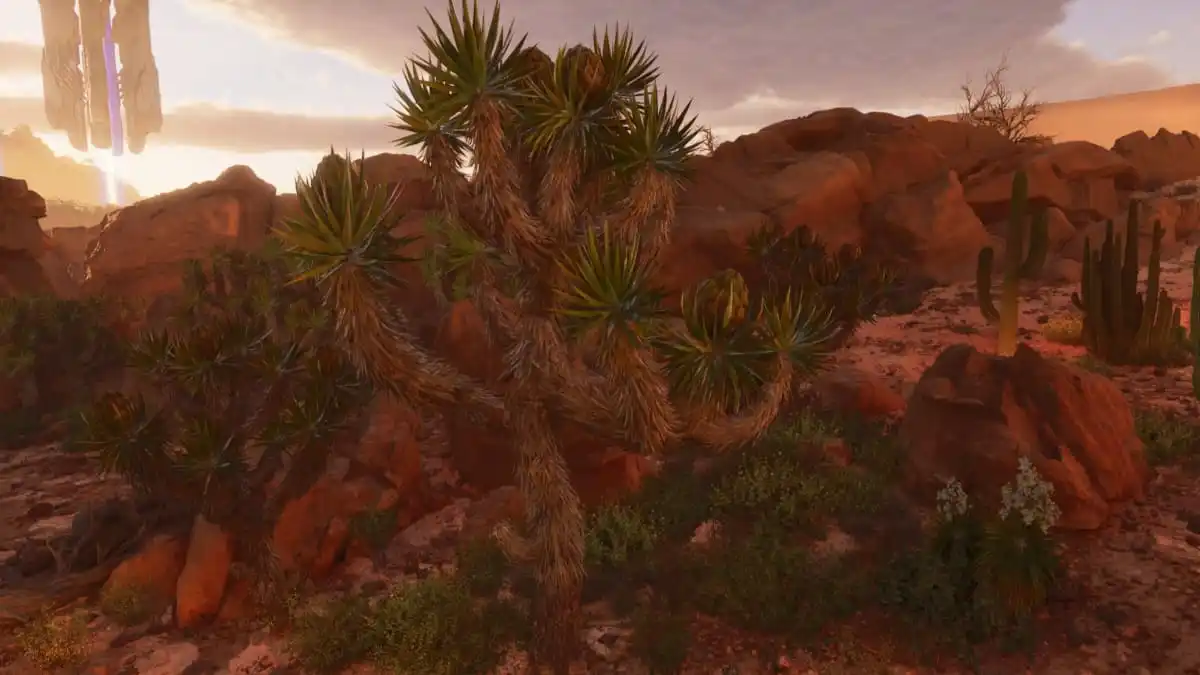 Joshua Trees on Scorched Earth in Ark: Survival Ascended.