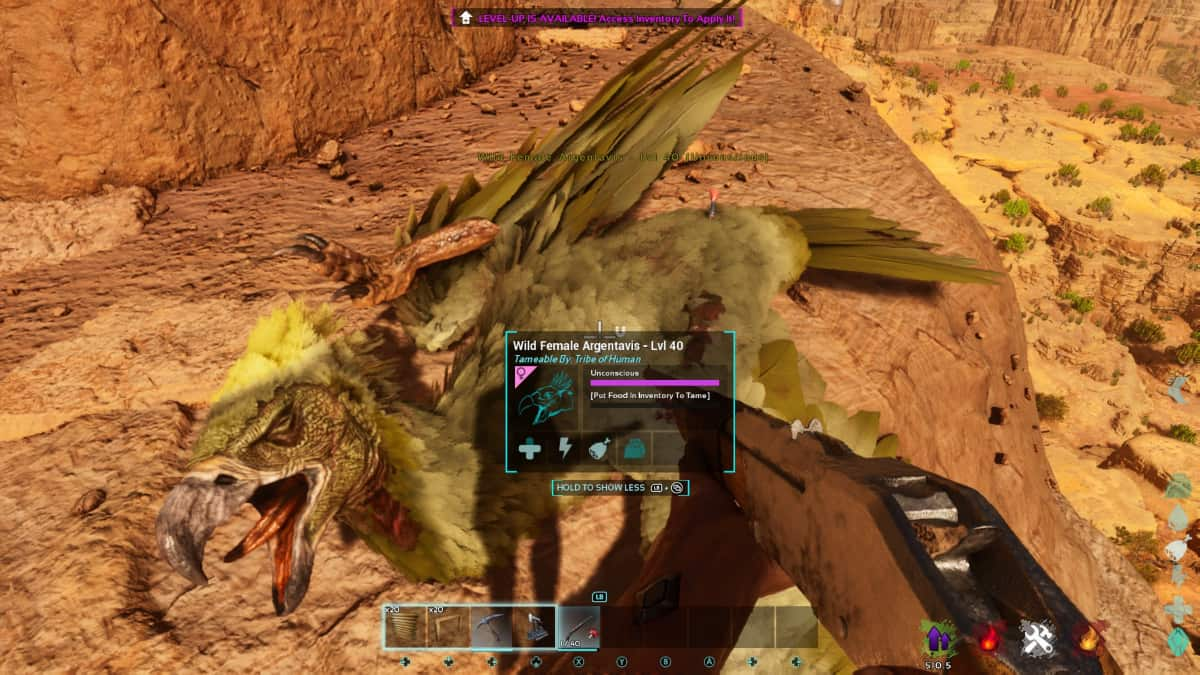 Ark: Survival Ascended: All Argentavis spawn locations in Scorched Earth