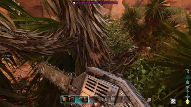 A player on Scorched Earth in Ark: Survival Ascended gathering sap.