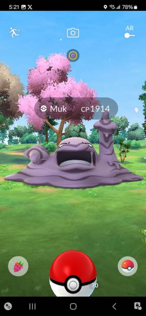 Catching a Muk in Pokémon Go