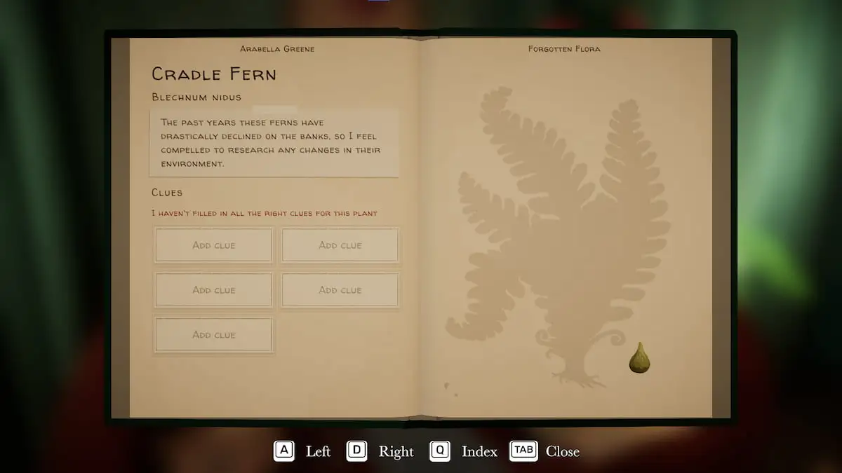 Cradle Fern clues in Botany Manor