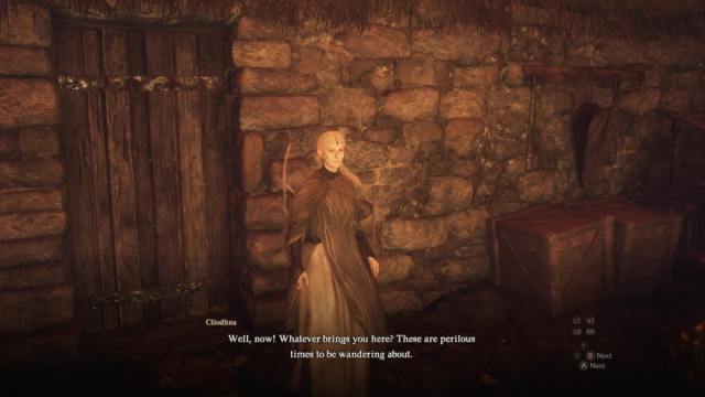 The elf woman Cliodhna greets the Arisen in Dragon's Dogma 2.
