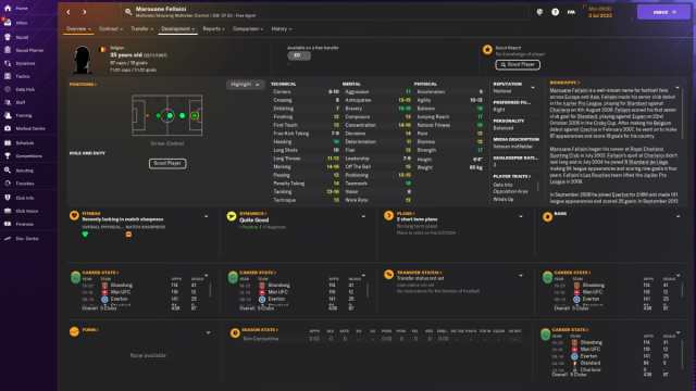 Marouane Fellaini's page in Football Manager 2024.