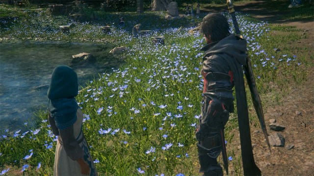 Clive getting flowers FF16