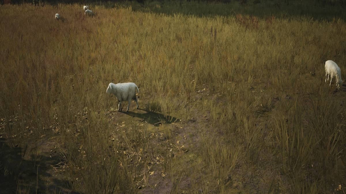 How to get and breed Sheep in Manor Lords - Dot Esports