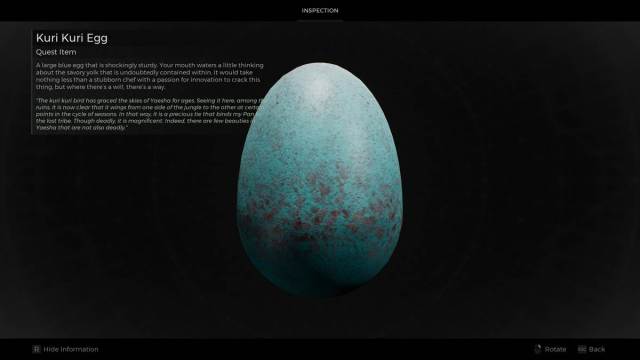 Kuri Kuri Egg from Remnant 2 with description