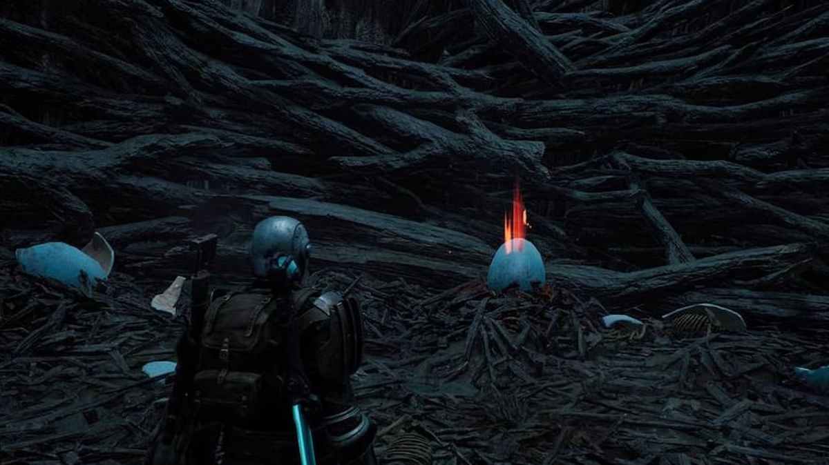 Remnant 2 player is standing and looking at the Kuri Kuri Egg