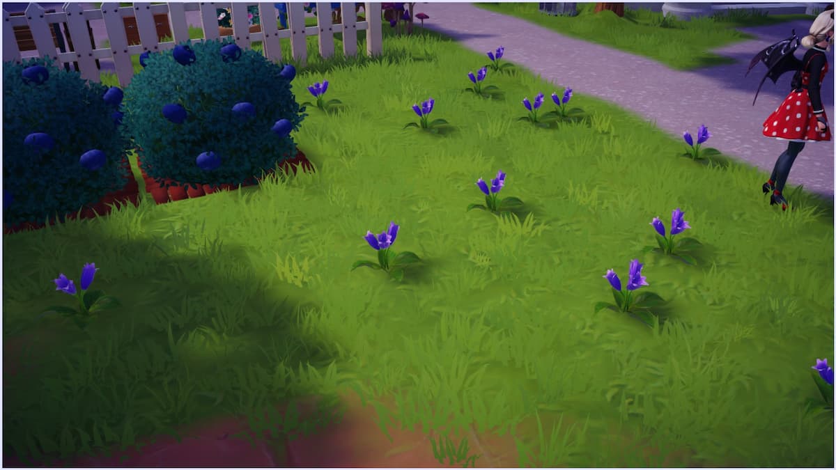 Purple Rising Penstemon are all over Peaceful Meadow in Disney Dreamlight Valley
