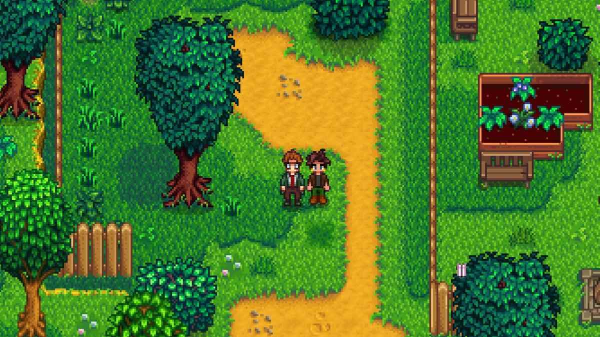 Как завязать роман с Харви в Stardew Valley