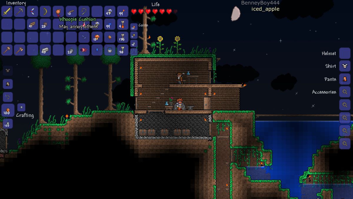 An image of Terraria inventory